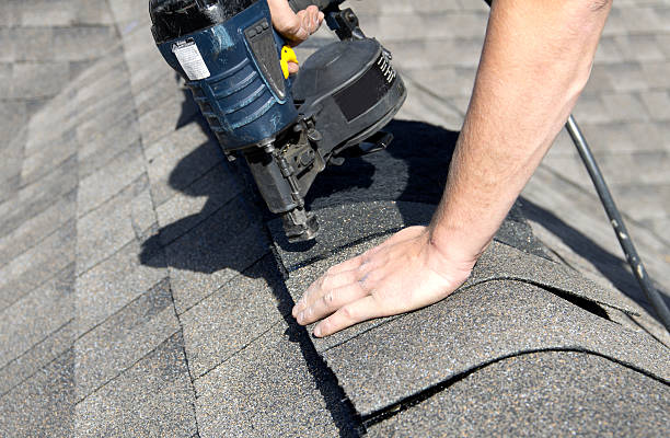 Best Roof Moss and Algae Removal  in Immokalee, FL